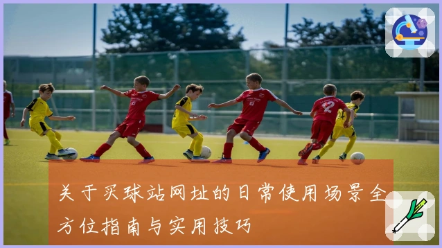 关于买球站网址的日常使用场景全方位指南与实用技巧