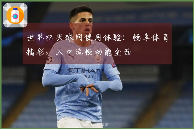 世界杯买球网使用体验：畅享体育精彩，入口流畅功能全面