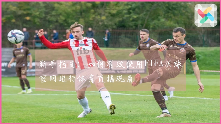 新手指南：如何有效使用FIFA买球官网进行体育直播观看