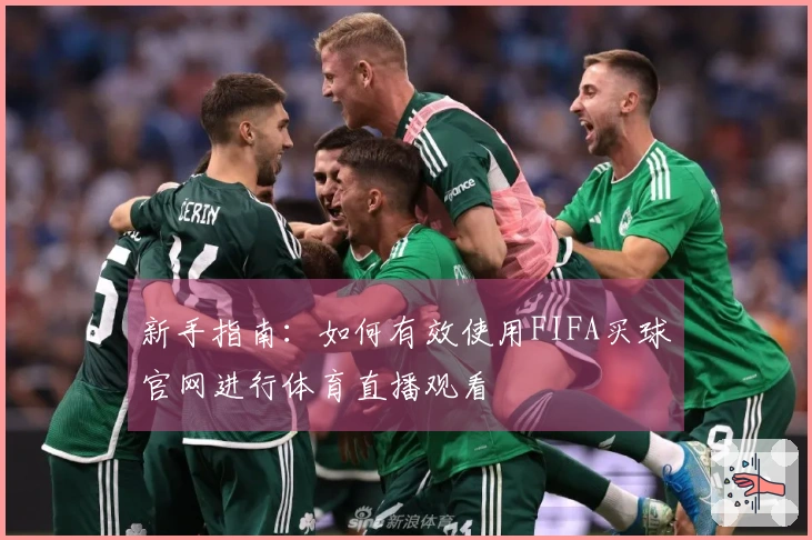 新手指南：如何有效使用FIFA买球官网进行体育直播观看