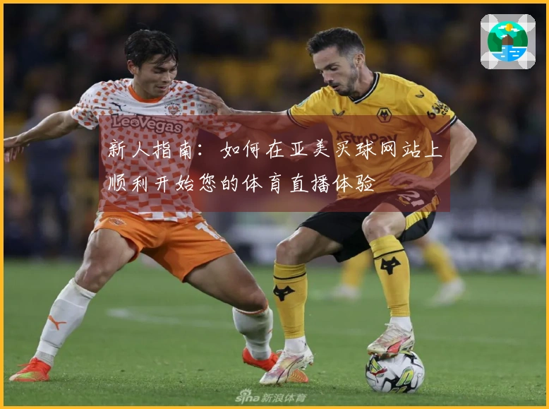 新人指南：如何在亚美买球网站上顺利开始您的体育直播体验