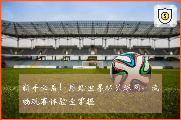 新手必看！用好世界杯买球网，流畅观赛体验全掌握