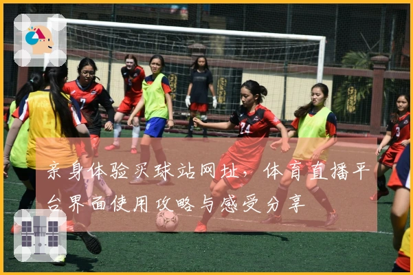 亲身体验买球站网址，体育直播平台界面使用攻略与感受分享