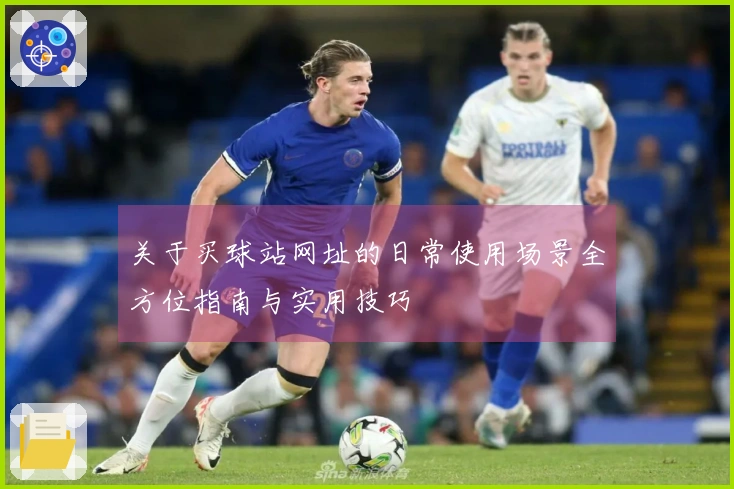 关于买球站网址的日常使用场景全方位指南与实用技巧