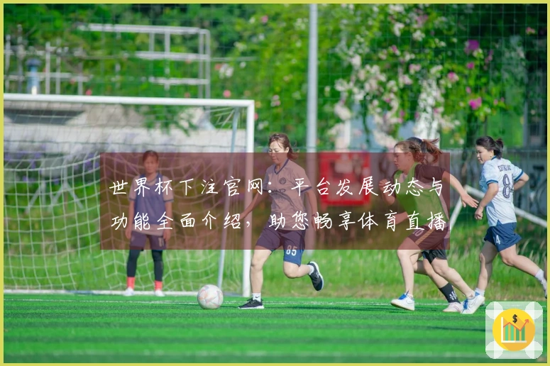 世界杯下注官网：平台发展动态与功能全面介绍，助您畅享体育直播体验