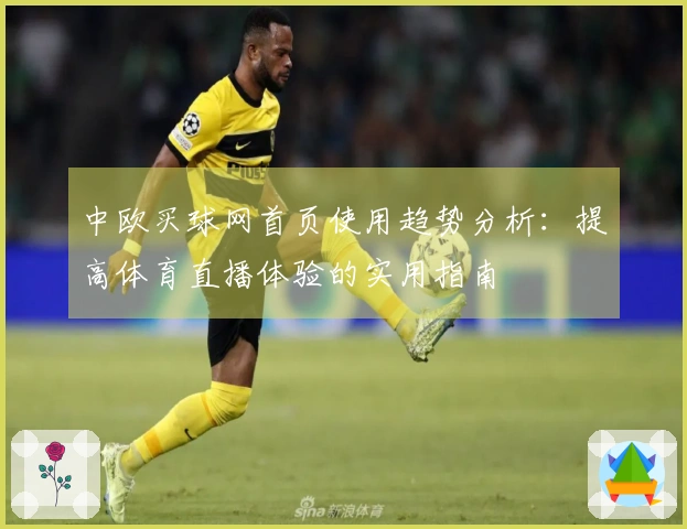中欧买球网首页使用趋势分析：提高体育直播体验的实用指南
